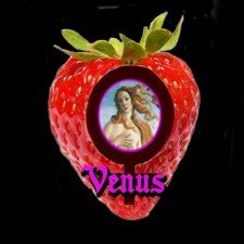 Vape Escape Venus